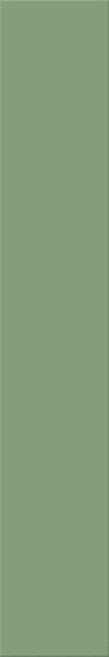 Agrob Buchtal Plural Grün Dunkel Wandfliese 10x60 Art.-Nr.: 160-1016H