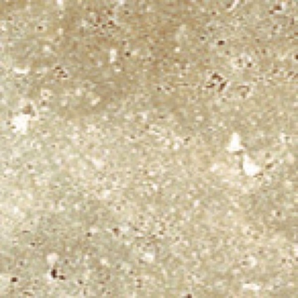 Italgraniti Stone Mix Travertino Cream Bodenfliese 15x15 Art.-Nr.: TX0215 - Steinoptik Fliese in Beige