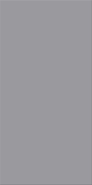 Agrob Buchtal Chroma Neutral 6 Bodenfliese 25x50 Art.-Nr.: 552116-342550HK