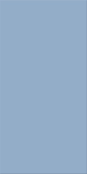 Agrob Buchtal Chroma Blau Mittel Bodenfliese 25x50 Art.-Nr.: 552007-342550HK