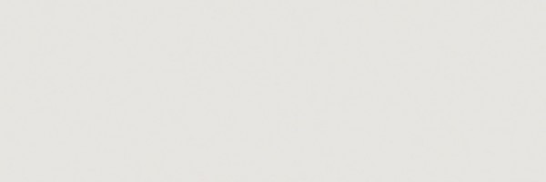 Jasba Essentials Light Gray Wandfliese 25x75 Art.-Nr.: 41603H
