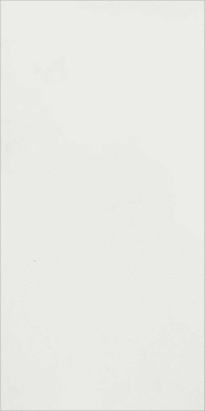 Musterfliesenstück für FKEU Kollektion Starlight Weiß Wandfliese 30x60 Art.-Nr. FKEU0993230