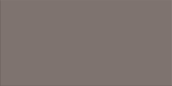 Agrob Buchtal Chroma Steingrau Dunkel Bodenfliese 25x50 Art-Nr.: 552036-342550HK