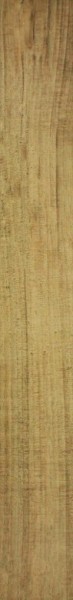 Ragno Woodstyle Ulivo Bodenfliese 15x120 R9 Art.-Nr.: R36C - Holzoptik Fliese in Gold/Silber/Bronze