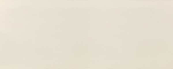 Steuler Vanille Vanille Wandfliese 20x50 Art.-Nr.: 24620 - Modern Fliese in Grau/Schlamm