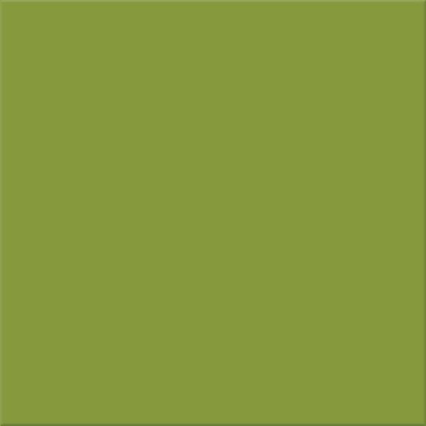Agrob Buchtal Plural Non-Slip Grün Aktiv Bodenfliese 20x20 R10/B Art.-Nr.: 920-2013H