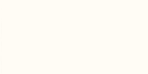 Lasselsberger Extra Weiß Beige Wandfliese 20X40/0,7 Art.-Nr.: SMA150-WADMB719 2040
