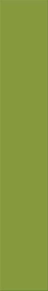 Agrob Buchtal Plural Grün Aktiv Wandfliese 10x60 Art.-Nr.: 160-1013H
