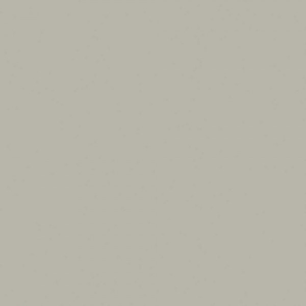 FERI & MASI Solid Grey Mt Bodenfliese 60x60/1 R9/A Art.-Nr.: P000000077 46887 - Modern Fliese in Grau/Schlamm