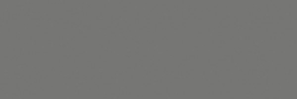Jasba Essentials Medium Gray Wandfliese 25x75 Art.-Nr.: 41604H