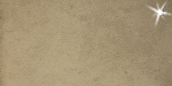 FKEU Kollektion Heritagee Graubeige Poliert Bodenfliese 37x75/1,05 R9 Art.-Nr.: FKEU0990401