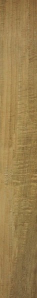Ragno Woodstyle Acero Bodenfliese 15x120 R9 Art.-Nr.: R36D - Holzoptik Fliese in Gold/Silber/Bronze