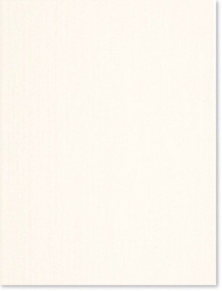 Agrob Buchtal Rialto Beige Wandfliese 25x33 Art.-Nr.: 231703 - Fliese in Weiß