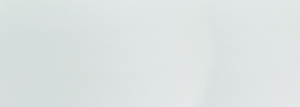 Steuler Pure White Weiss Wandfliese 25x70 Art.-Nr.: 27505 - Modern Fliese in Weiß
