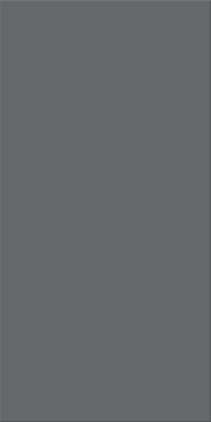 Agrob Buchtal Chroma Neutral 4 Bodenfliese 25x50 Art.-Nr.: 552114-342550HK
