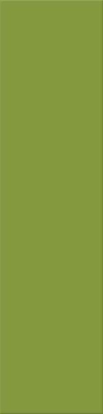 Agrob Buchtal Plural Grün Aktiv Wandfliese 10x40 Art-Nr.: 140-1013H