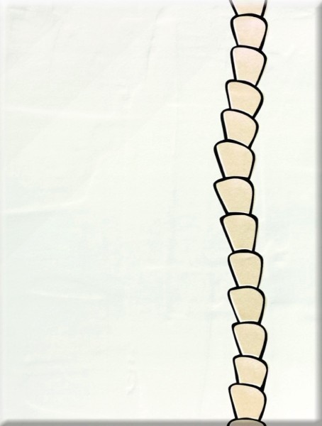 Steuler Bongobongo! Palmenstamm Wandfliese 25x33 Art.-Nr.: 34074 - Fliese in Farbmix