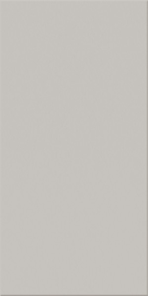 Agrob Buchtal Chroma Grau Transparent Bodenfliese 12,5x25 Art.-Nr.: 509-18120