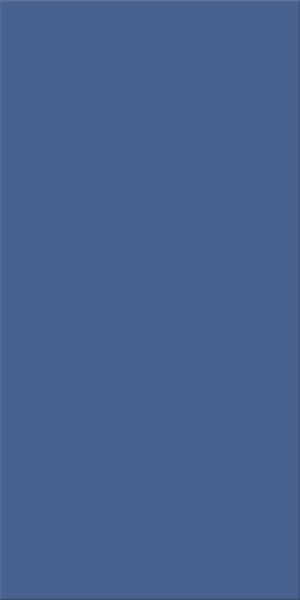 Agrob Buchtal Chroma Blau Dunkel Bodenfliese 25x50 Art.-Nr.: 552008-342550HK