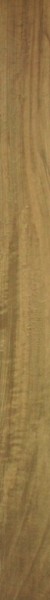 Ragno Woodstyle Acero Bodenfliese 10x120 R9 Art.-Nr.: R36H - Holzoptik Fliese in Gold/Silber/Bronze