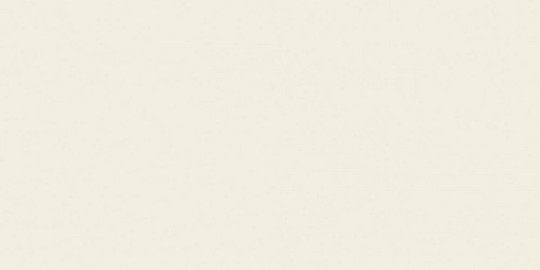 FERI & MASI Solid White Mt Bodenfliese 45X90/1 R9/A Art.-Nr.: P000000243