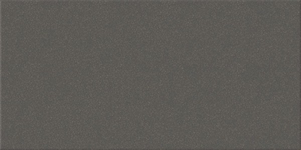 Agrob Buchtal Ferrum Steingrau Bodenfliese 12,5X25/1,1 R11/B Art.-Nr.: 929R-1100