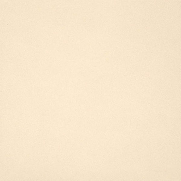 Casalgrande Padana Unicolore Bianco A Bugnato Fliese 20x20 R11/V6 Art.-Nr. 401001