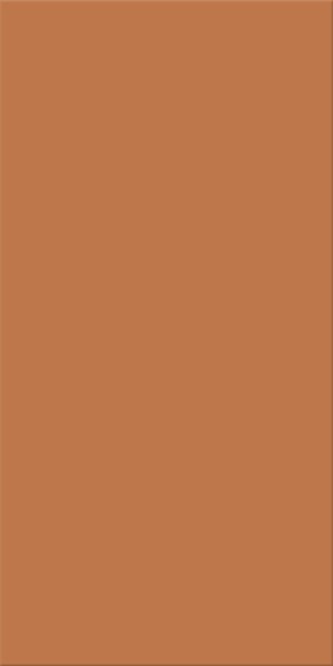 Agrob Buchtal Chroma Lachs Dunkel Bodenfliese 25x50 Art.-Nr.: 552028-342550HK