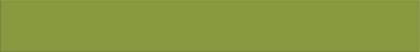 Agrob Buchtal Chroma Grün Aktiv Bodenfliese 12,5x100/0,8 Art.-Nr.: 552013-352010HK