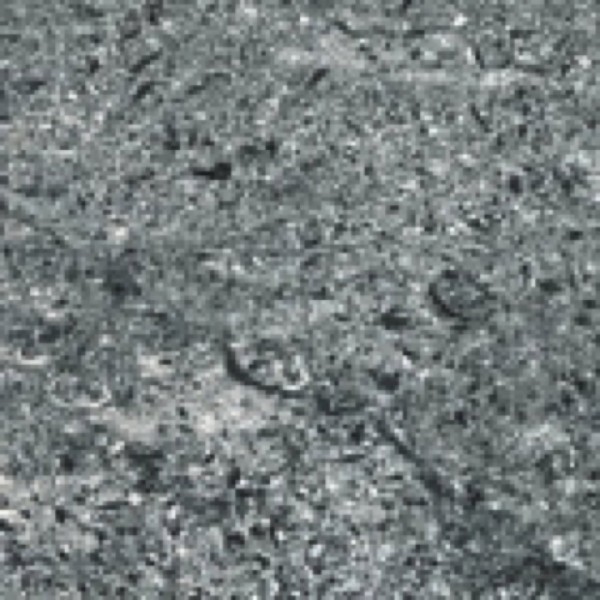 Italgraniti Stone Mix Quarzite Grey Bodenfliese 15x15 Art.-Nr.: TX0415 - Natursteinoptik Fliese in Grau/Schlamm