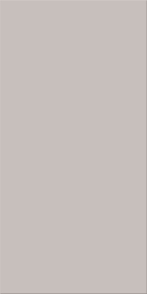 Agrob Buchtal Chroma Steingrau Hell Bodenfliese 25x50 Art.-Nr.: 552034-342550HK
