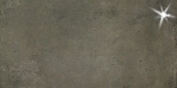 FKEU Kollektion Heritagee Grafitgrau Poliert Bodenfliese 37x75/1,05 R9 Art.-Nr.: FKEU0990403